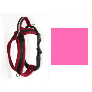 11AFH4PINK